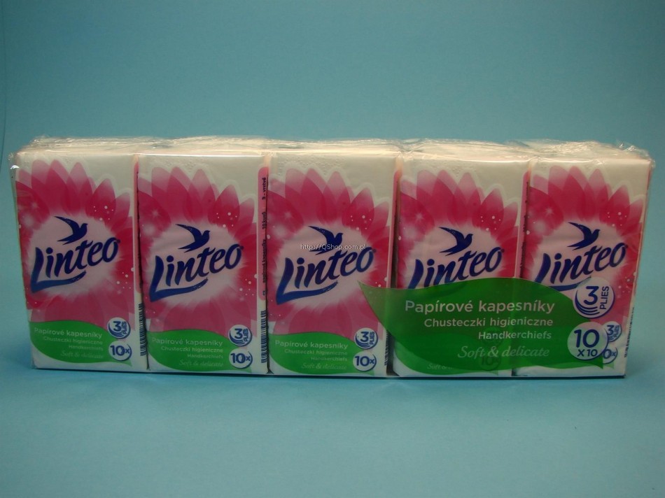 CHUSTECZKI LINTEO worek satin 10x10s 3w H 2,99**