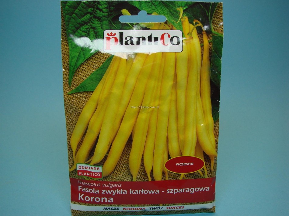N. FASOLA szparagowa KORONA plantiCo 40g C 219*